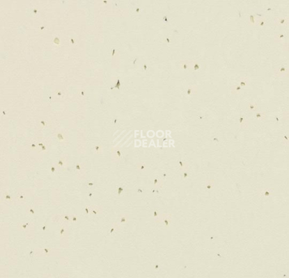 Линолеум Forbo Sphera Energetic 50208 almond фото 1 | FLOORDEALER